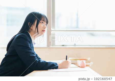 塾で勉強する女子高生 塾で勉強する女子高生 102160547