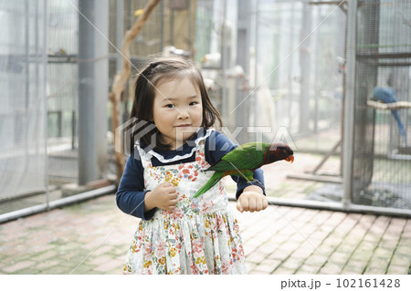 手乗りインコと触れ合っている女児 手乗りインコと触れ合っている女児 102161428