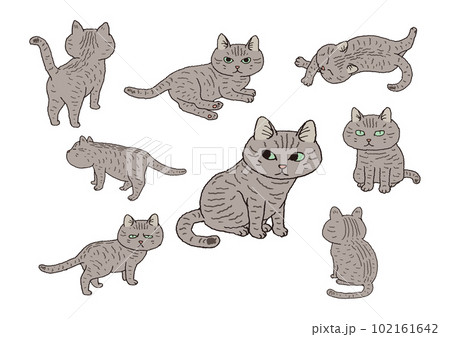 かわいいキジ猫の手描きイラスト 102161642