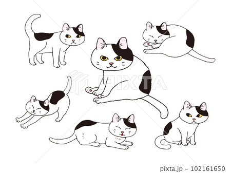 かわいい白黒ぶち猫の手描きイラストのイラスト素材 [102161650