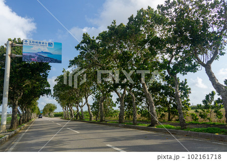 石垣島の道路(白保周辺/国道390号) 石垣島の道路(白保周辺/国道390号) 102161718