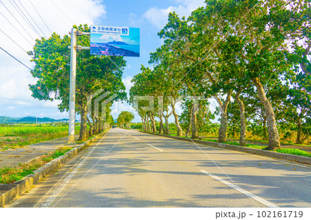 石垣島の道路（白保周辺/国道390号） 102161719