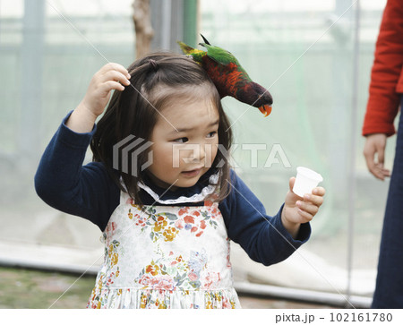 インコと戯れて楽しそうに遊ぶ女の子 102161780