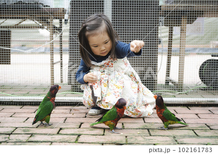 インコと戯れて楽しそうに遊ぶ女の子 インコと戯れて楽しそうに遊ぶ女の子 102161783