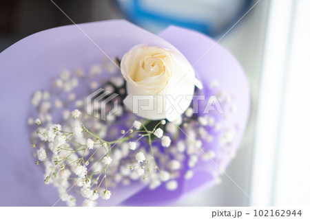 bouquet of white roses in purple packaging on the windowsill, top view 102162944