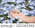 満開のネモフィラとネイル 満開のネモフィラとネイル 102162948