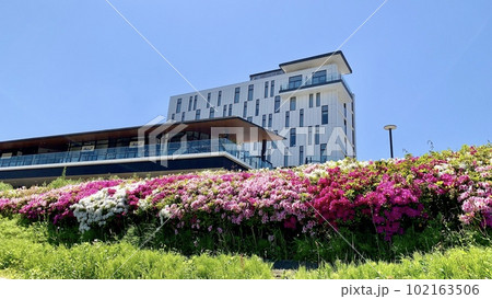 青空に映えるオトリバーサイドテラス・グランドイン東岡崎・満開のツツジ〈乙川河川緑地/愛知県岡崎市〉 102163506