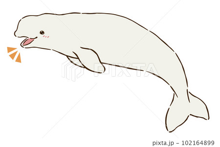 喜ぶシロイルカ（ベルーガ） 102164899