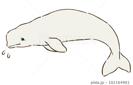 悲しむシロイルカ(ベルーガ) 悲しむシロイルカ(ベルーガ) 102164901