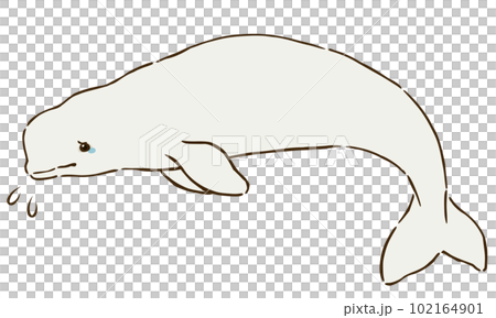悲しむシロイルカ(ベルーガ) 悲しむシロイルカ(ベルーガ) 102164901