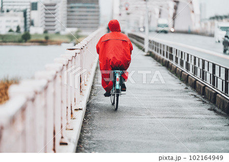 自転車に乗る人の後ろ姿 自転車に乗る人の後ろ姿 102164949