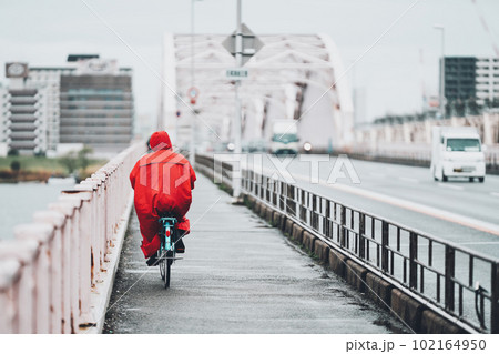 自転車に乗る人の後ろ姿 102164950