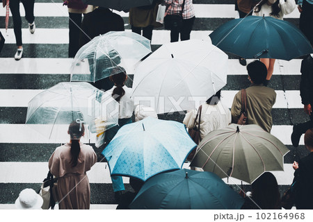 雨の日の横断歩道 雨の日の横断歩道 102164968