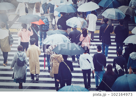 雨の日の横断歩道 102164973