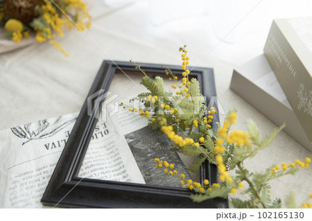 ミモザと洋書のお洒落な背景 ミモザと洋書のお洒落な背景 102165130