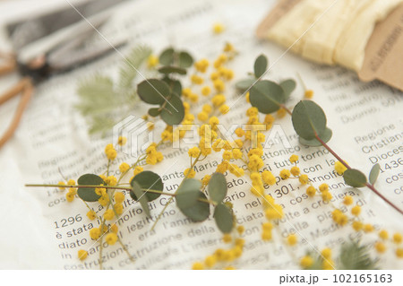 ミモザとユーカリのアレンジ 102165163