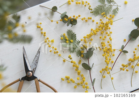 ミモザとユーカリのアレンジ 102165169