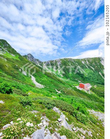 千畳敷カール（夏） 102165205