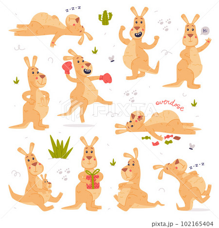 Funny Kangaroo Marsupial Animal Engaged in Different Activity Vector Set 102165404