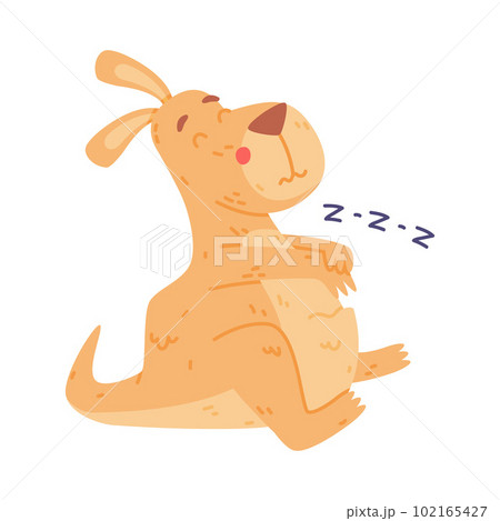 Funny Kangaroo Marsupial Animal Sleeping and Snoring Vector Illustration 102165427