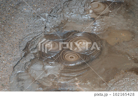 The circular patterns of geothermal Mud pools in Rotorua, New Zealand's geothermal wonderland. 102165428