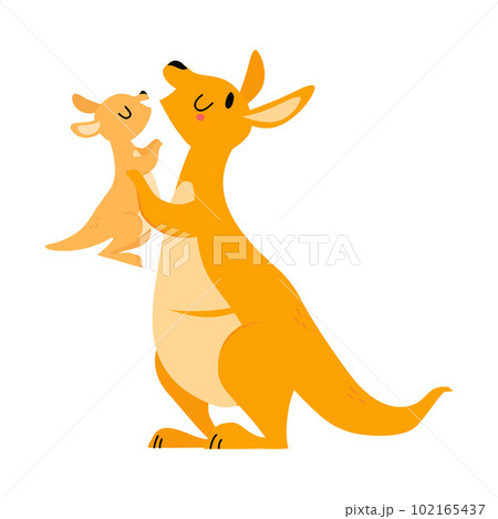 Cute Brown Kangaroo Marsupial Character with Joey Holding with Paws Vector Illustration Cute Brown Kangaroo Marsupial Character with Joey Holding with Paws Vector Illustration 102165437
