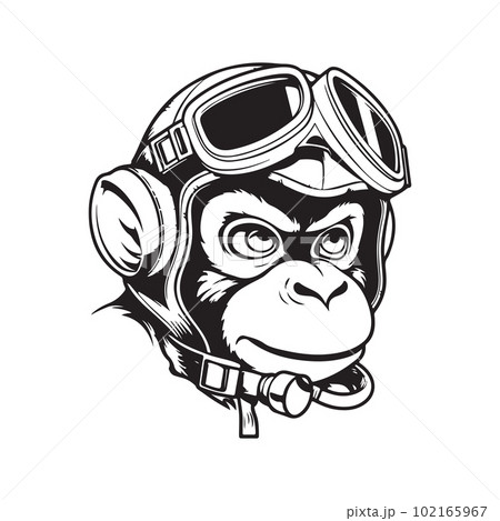 monkey pilot, vector concept digital art ,hand drawn illustration 102165967