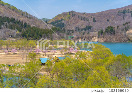 白川湖の水没林　白川ダム湖岸公園　眺望 102166050