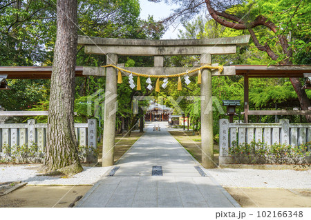 辛國神社　鳥居　新緑の季節（大阪府藤井寺市） 102166348