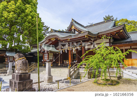 辛國神社　拝殿　新緑の季節（大阪府藤井寺市） 102166356