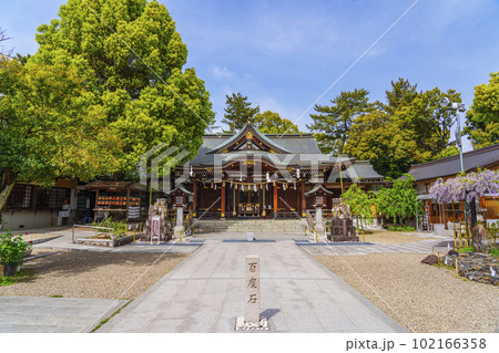 辛國神社　拝殿　新緑の季節（大阪府藤井寺市） 102166358