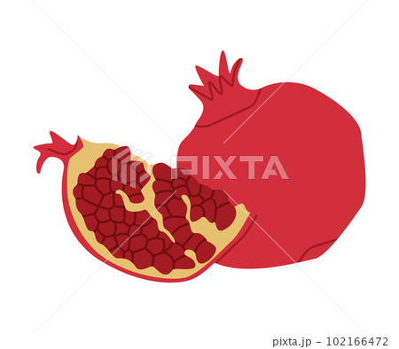 Red Pomegranate Fruit with Seeds as Traditional Istanbul Symbol Vector Illustration 102166472
