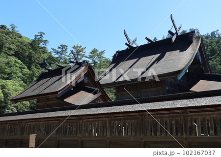 島根観光：出雲大社 102167037