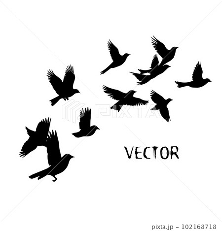 A flock of flying birds. Vector illustration 102168718