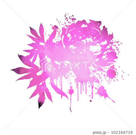 Vector stock flower illustration, Pink peony on a white background. Watercolor style 102168719