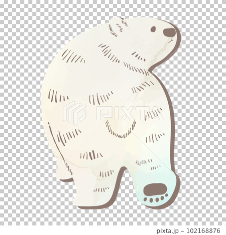 Illustration of a hand-drawn white bear looking back in a watercolor style 102168876