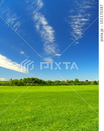 夏の無人のグラウンドのある江戸川河川敷風景 夏の無人のグラウンドのある江戸川河川敷風景 102170387