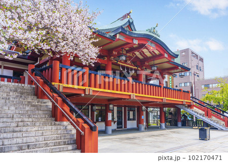 茨住吉神社　満開の桜（大阪市西区九条） 102170471