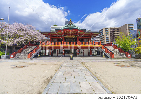 茨住吉神社 満開の桜(大阪市西区九条) 茨住吉神社 満開の桜(大阪市西区九条) 102170473