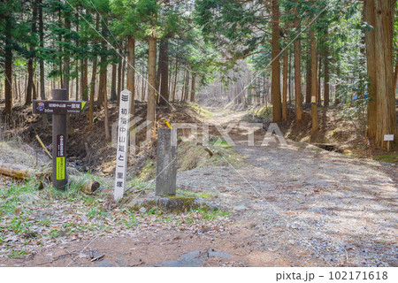 初期中山道と楡沢の一里塚【上伊那郡辰野町】 初期中山道と楡沢の一里塚【上伊那郡辰野町】 102171618