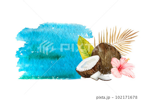 Watercolor illustration of the tropics. Coconut, tropical leaves and flowers on a colored background. 102171678