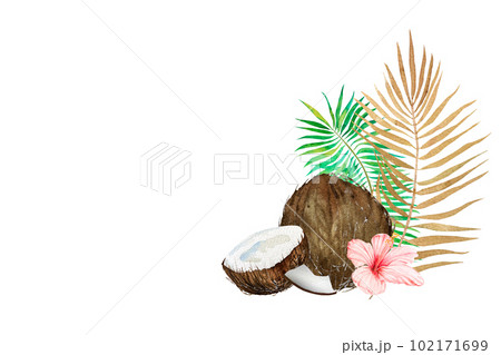 Watercolor illustration of the tropics. Coconut, tropical leaves and flowers on a colored background. 102171699