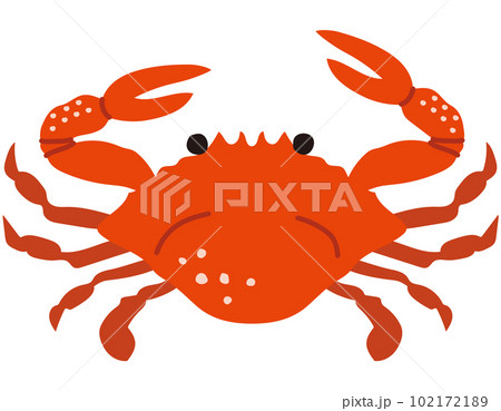 竹崎カニ　佐賀県　観光　特産品 102172189