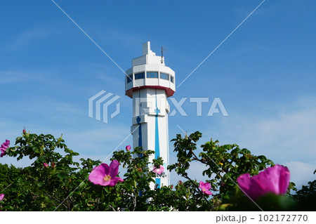 初夏のはまなす公園　青空に映える展望塔の風景 102172770