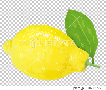 A simple touch of a real lemon illustration A simple touch of a real lemon illustration 102172779