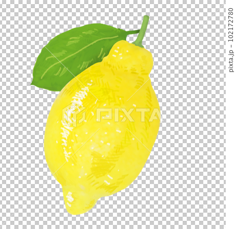 A simple touch of a real lemon illustration A simple touch of a real lemon illustration 102172780