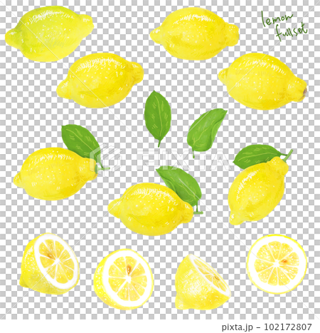A simple touch of a real lemon illustration A simple touch of a real lemon illustration 102172807