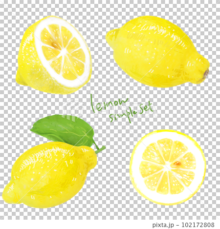 檸檬のイラスト　実物みたいなフォルムのシンプルなタッチ 102172808