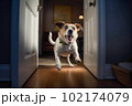 Excited and happy dog at home door entrance greeting the arrival of her master. Created with Generative AI technology. 102174079