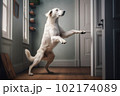 Excited and happy dog at home door entrance waiting the arrival of her master. Created with Generative AI technology. 102174089